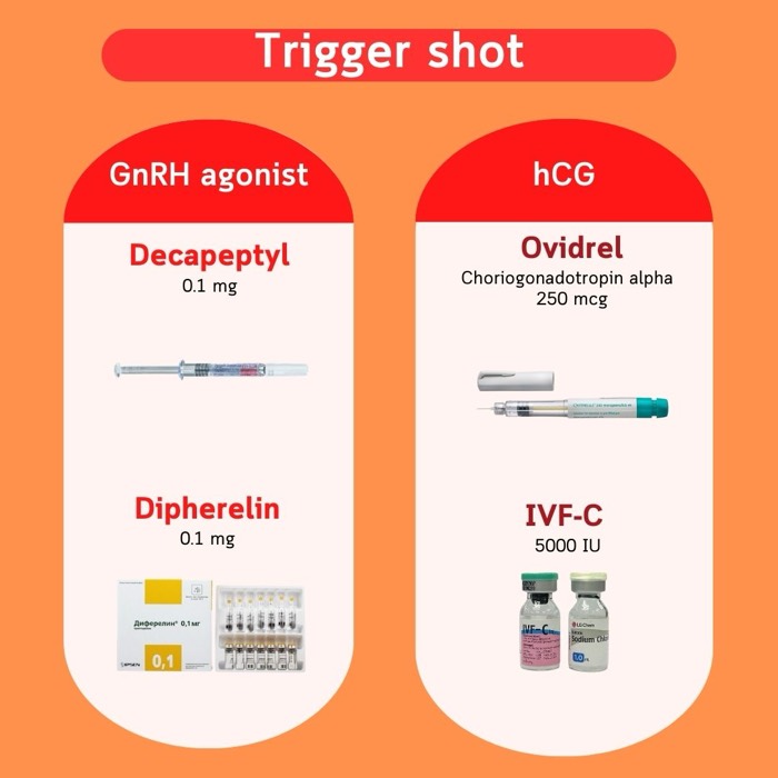 Suntik pemicu — agonis GnRH (Decapeptyl, Diphereline) dan hCG (Ovidrel, IVF-C)